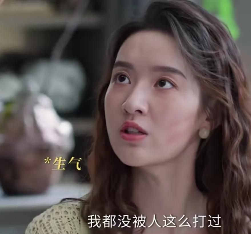 《好团圆》
向南的丈夫发现她脸上的巴掌印，就问向南是怎么回事，向南说自己从来都没