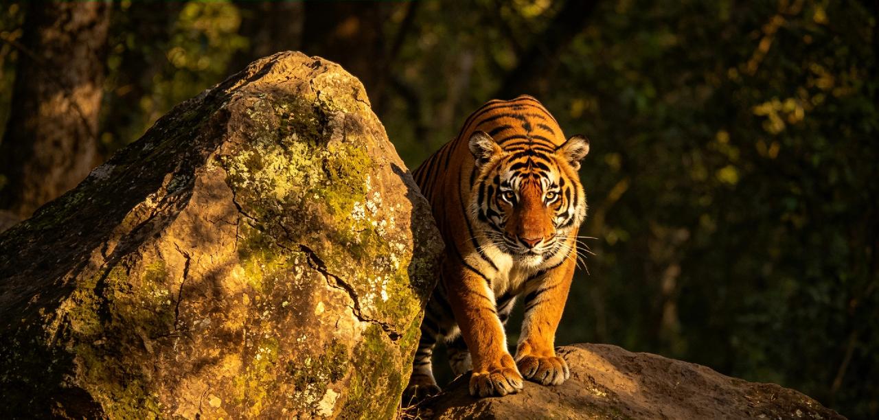 吉林敦化大石头镇出大事了！

        最近一段视频在网上炸开了锅——有居