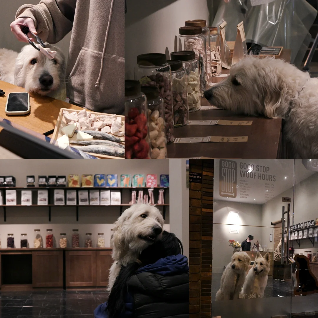 狗带我逛“澳洲（狗狗的）干粮店”