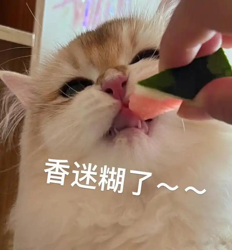 一篇帖子引出一群大馋丫头小子 对于我们年轻人来说，每天的生活节奏快如闪电，需要面