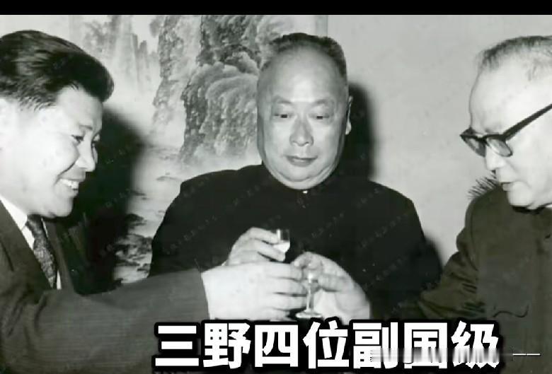 三野出了哪四个副国级领导！