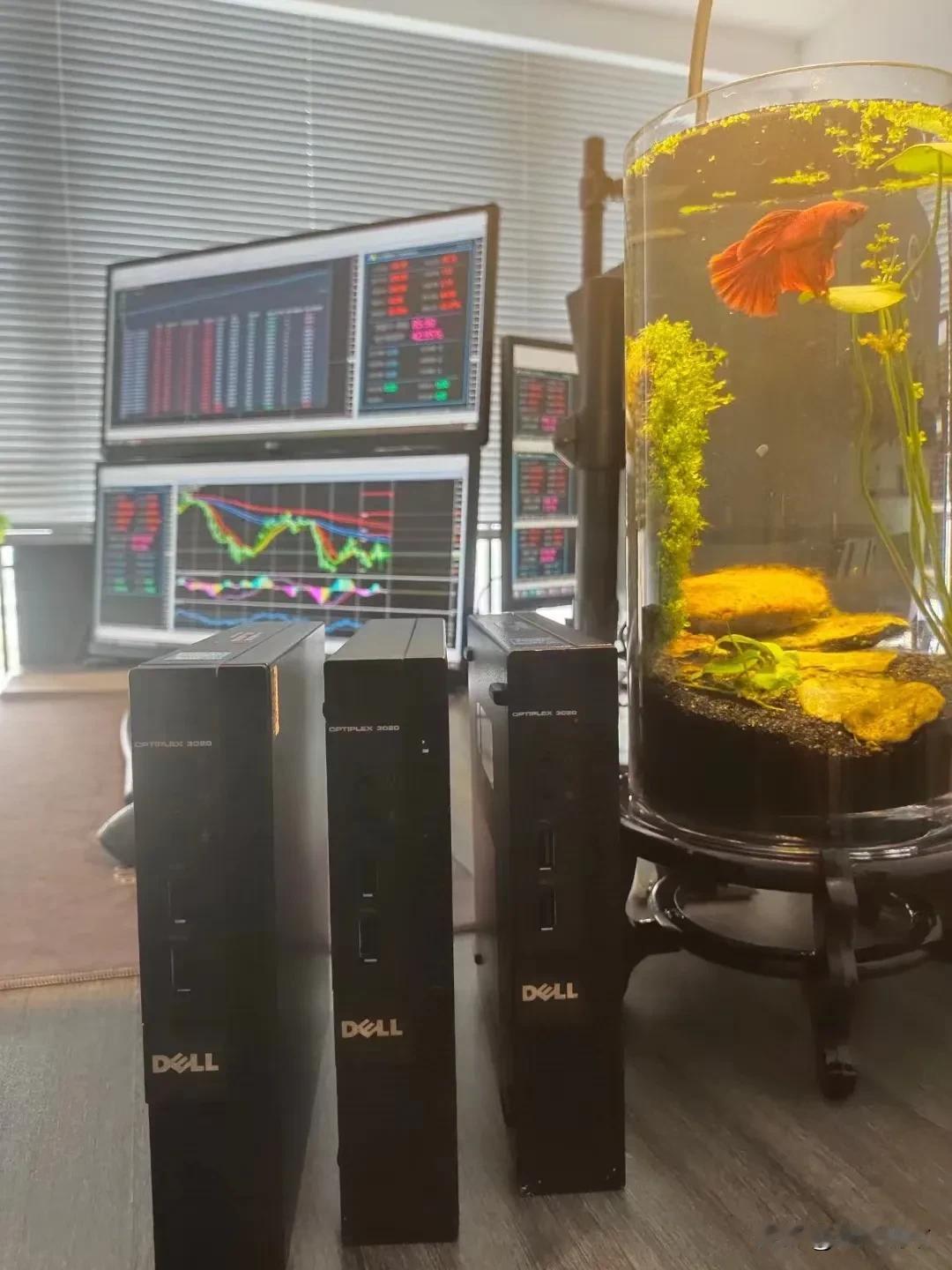 买股票，就是买公司。这是段老板总结老巴几十年的投资经验，也是一直坚持的信念。在自