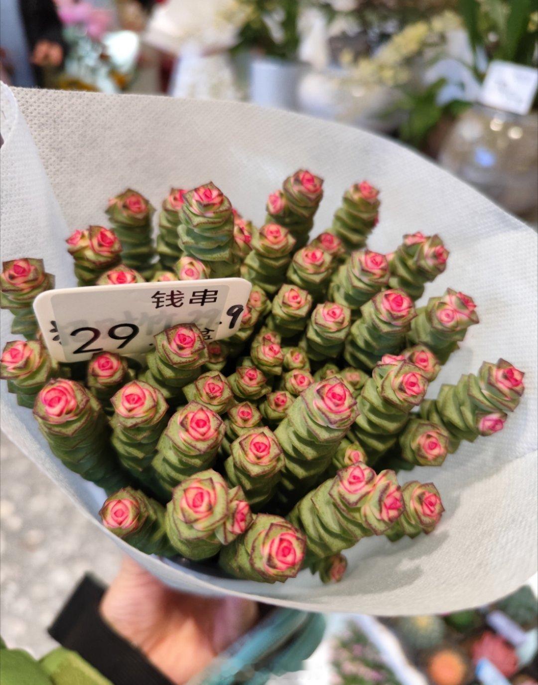 中午铁板自助虽然吃得很爽，总体还是太咸了，蛋白质也太多了，甜食也吃了些，导致很想