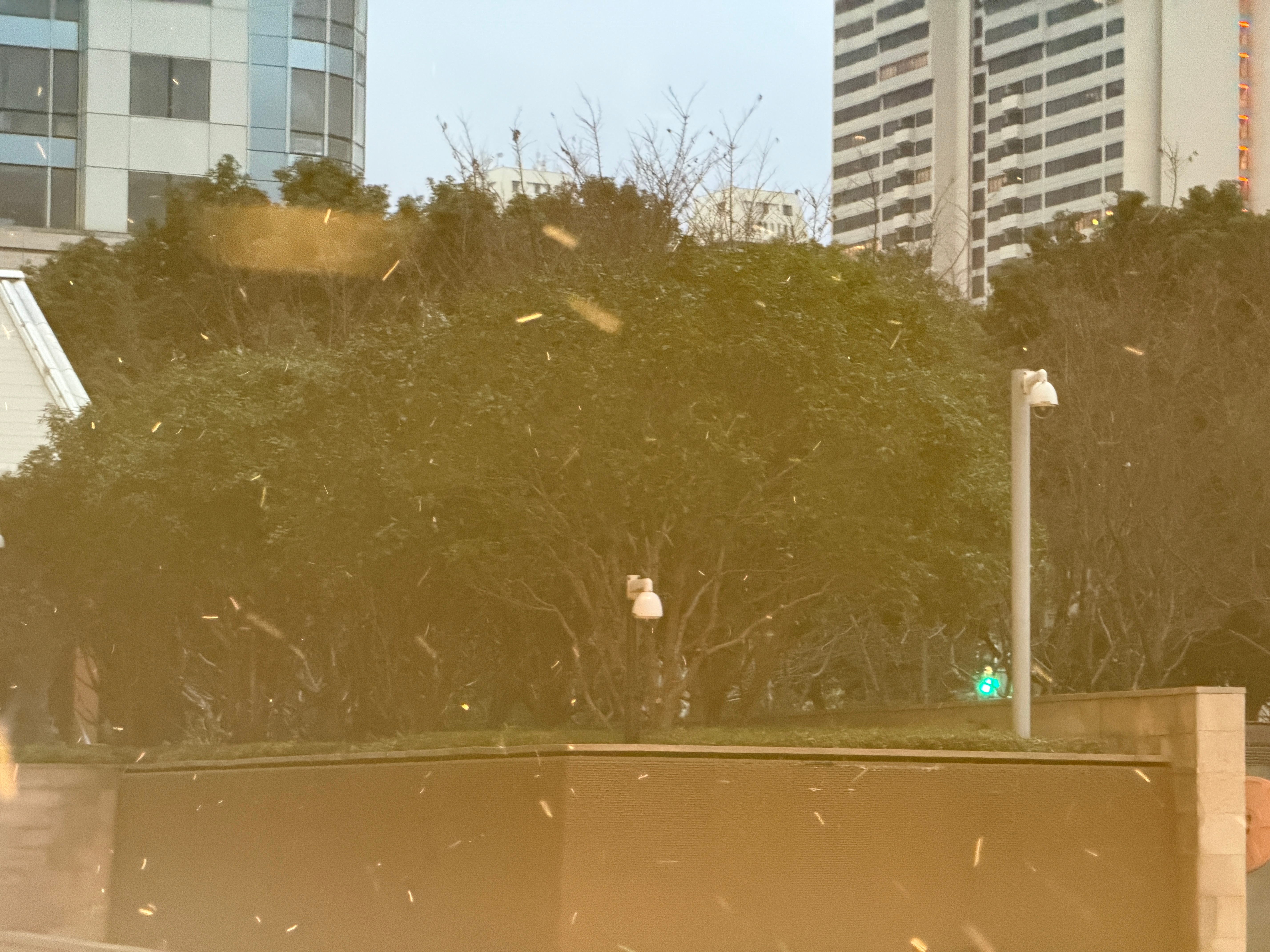 下雪上海也下雪了，酒店出来看到飘雪花了哈哈哈哈哈。南方人看到雪还是很开心啊 上海