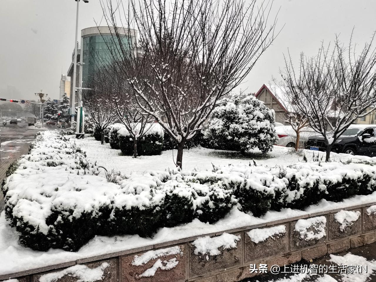 美丽的雪景，寒风中劳作的环卫保洁工人，向她们致敬！