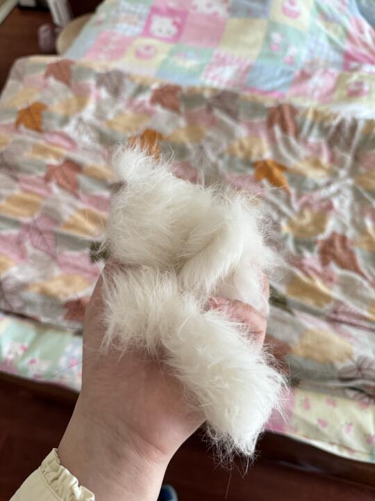 白猫都这么能掉吗？