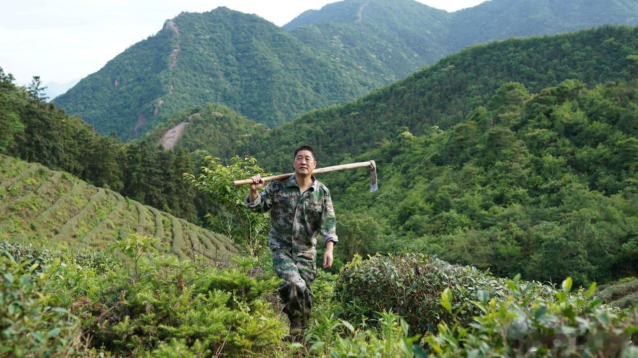 退役老兵37年把荒山变成万亩林海“其实这都是我应该做的！”得知获评2025年“最