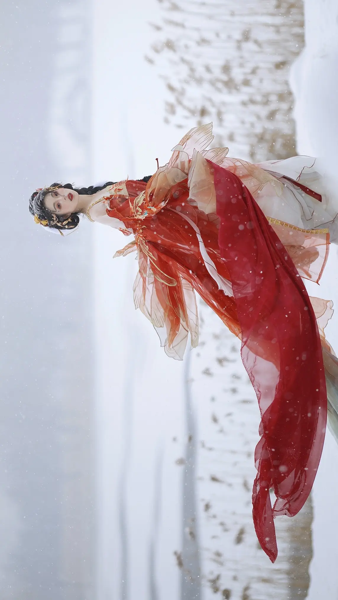 双生锦鲤之小红上岸观雪