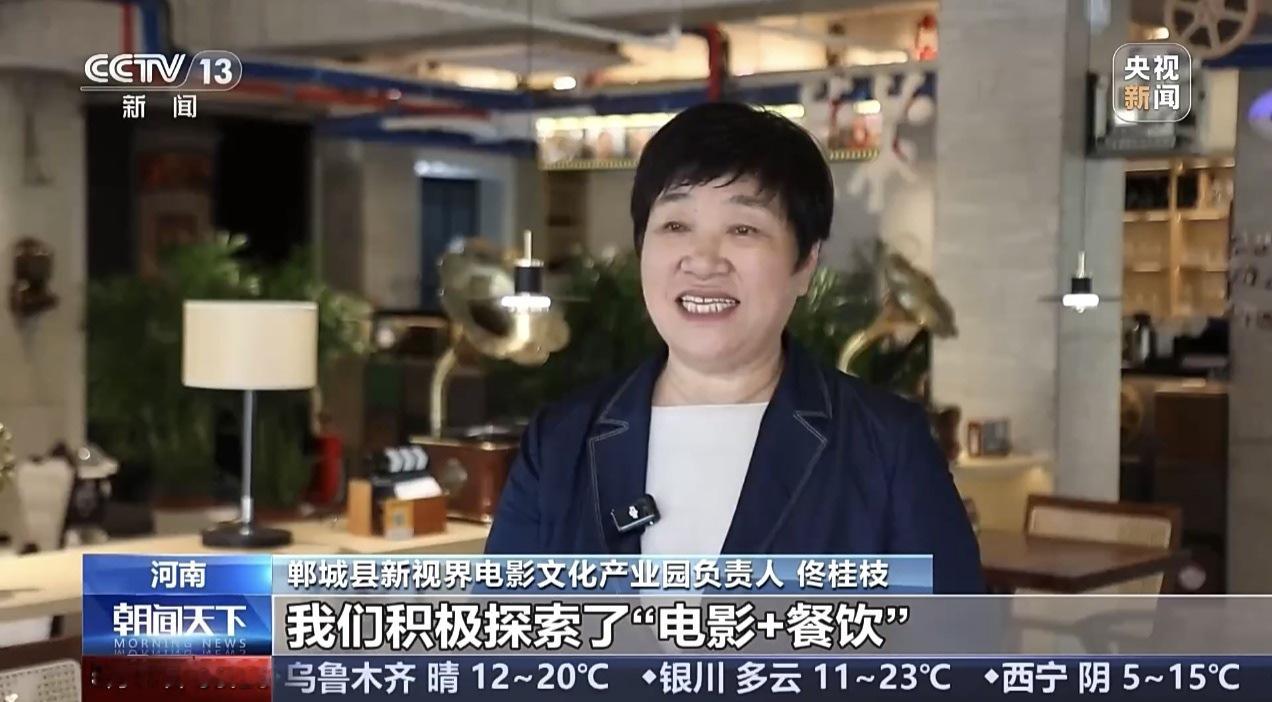 寻美周口 【光影点亮县域经济 新阶层人士实干担当赋能家乡振兴】一张电影票，激活一