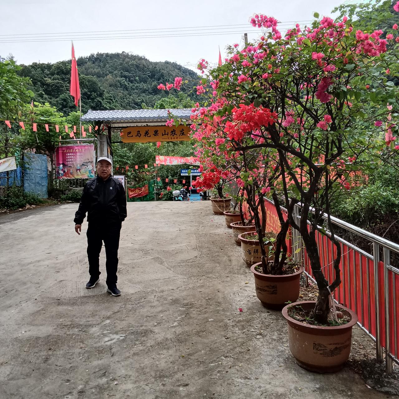 到巴马坡月村12天啦！
我老伴儿的身体感受

我老伴于今年6月6日发现自己有了高