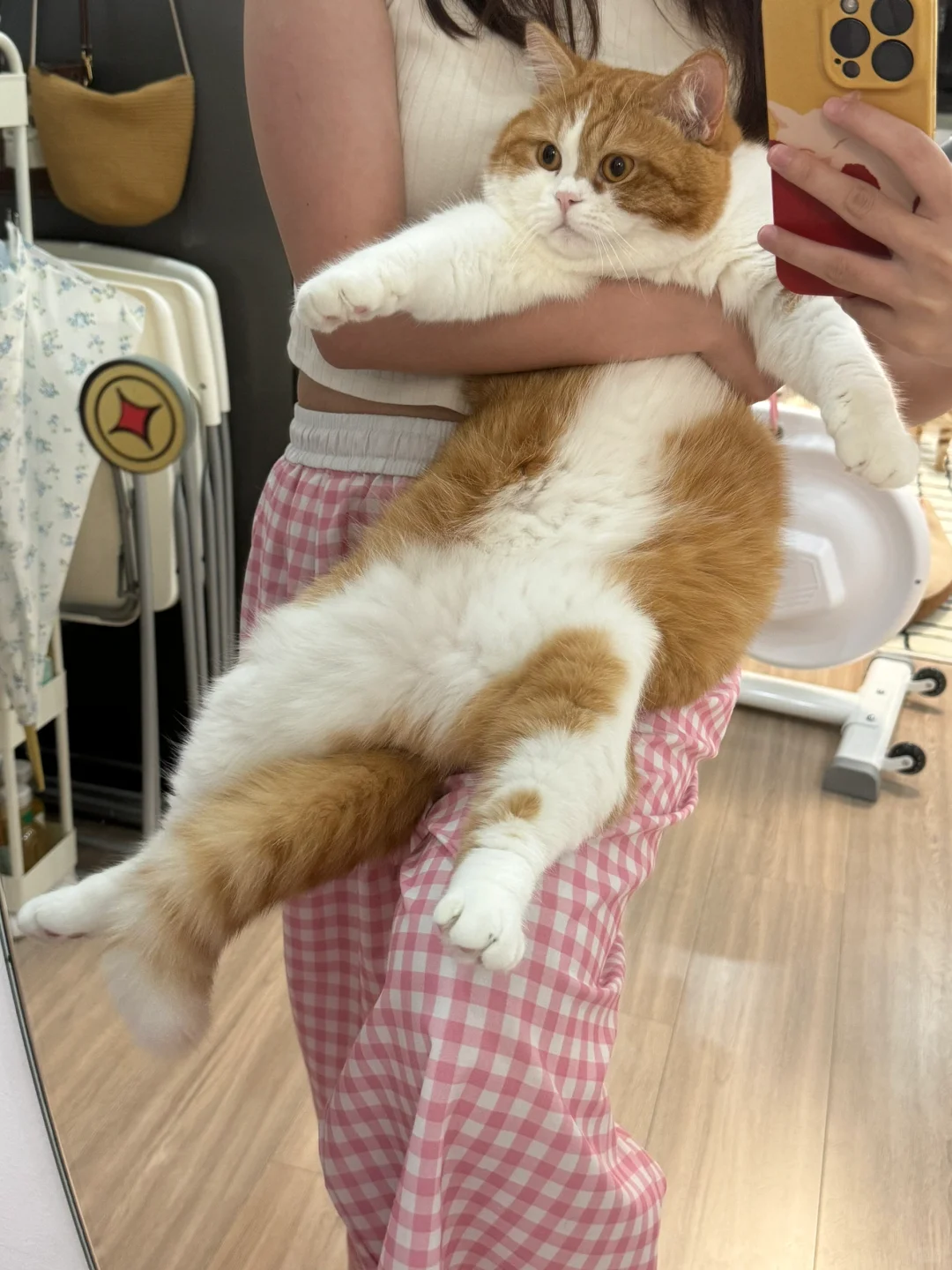 就这么水灵灵的吃上了……