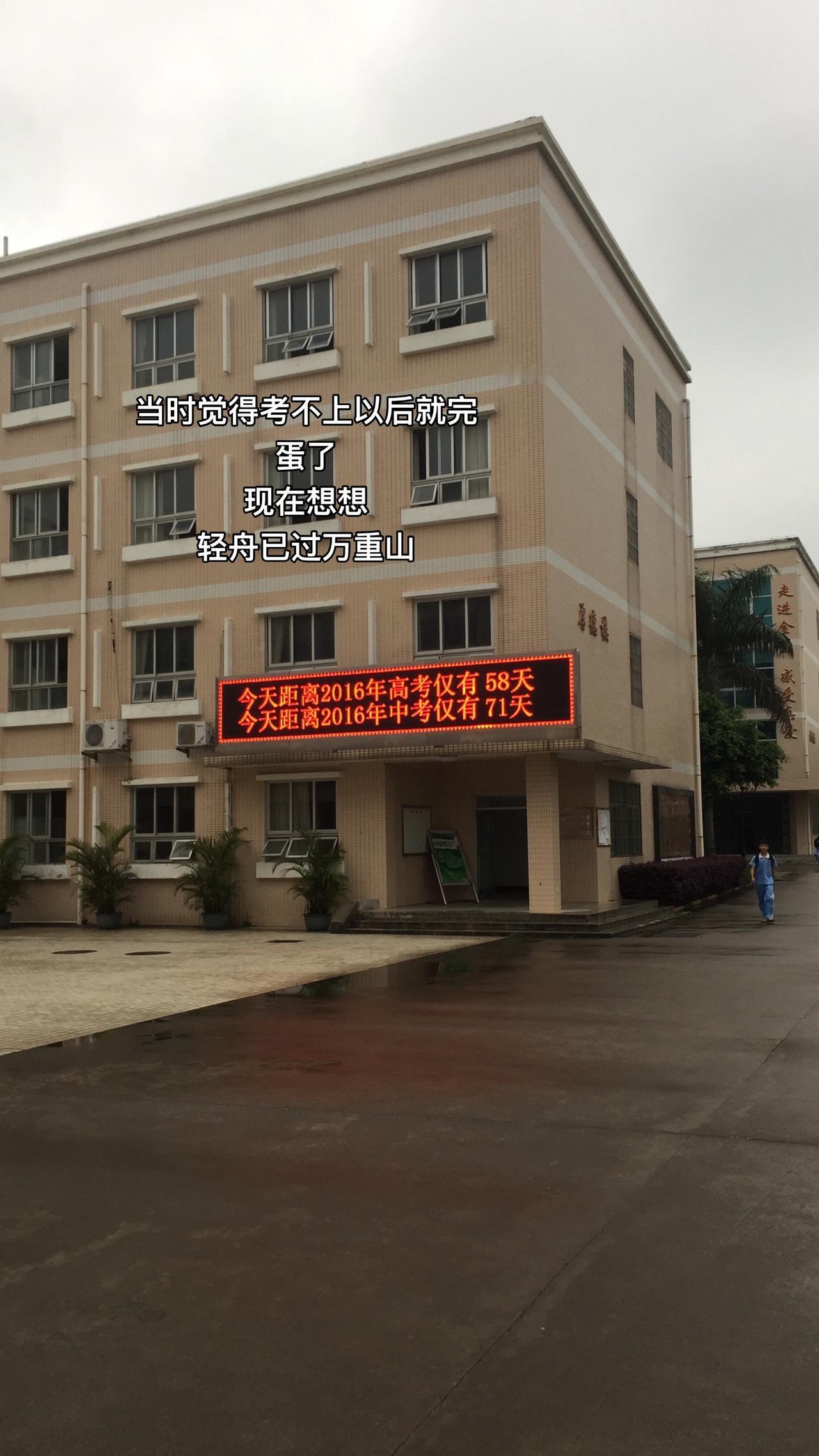高三 高考