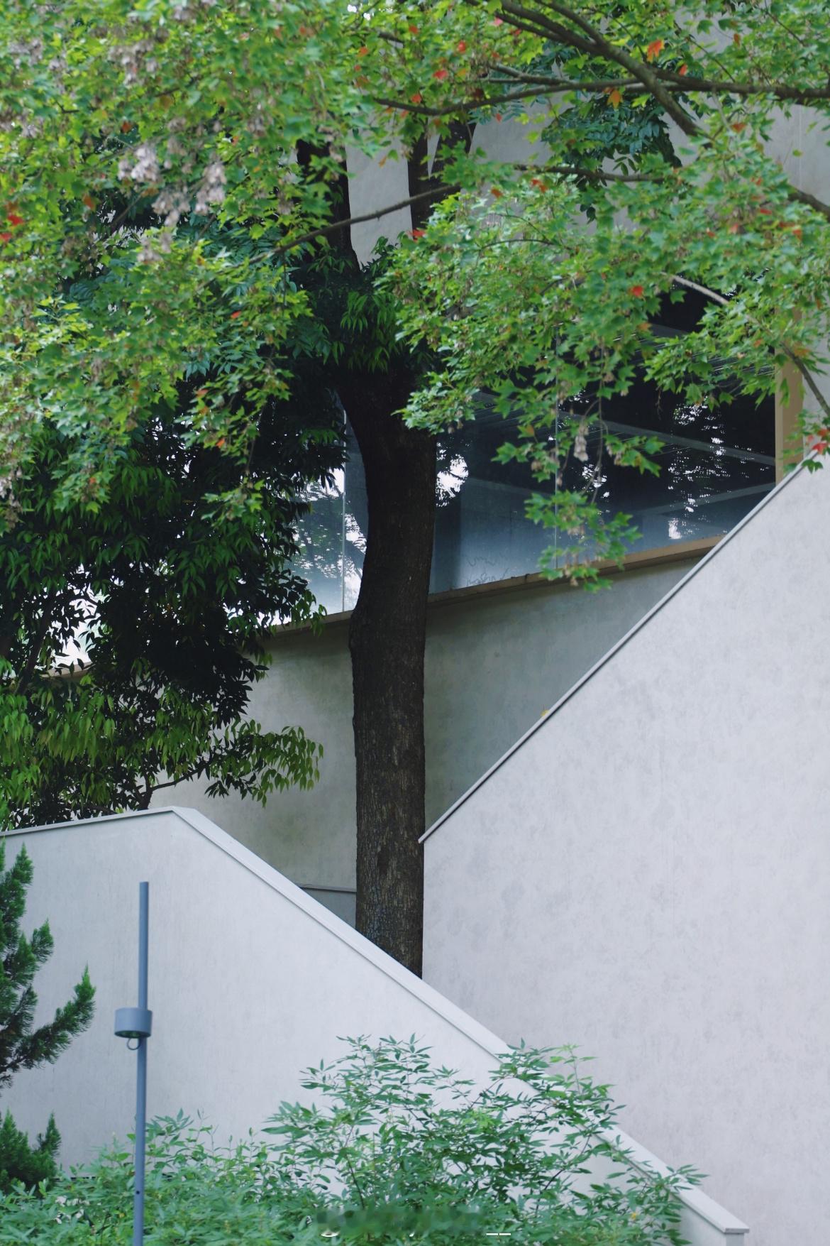 早安[超话]  🌿·𝙂𝙤𝙤𝙙 𝙈𝙤𝙧𝙣𝙞𝙣𝙜·每个转弯都