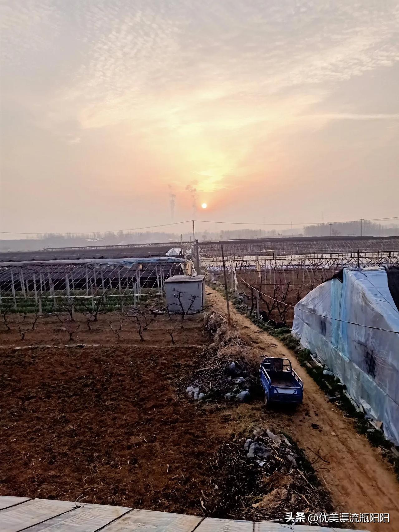 记录我的2026早起的鸟儿有虫吃，赶快拉苫子去干活！