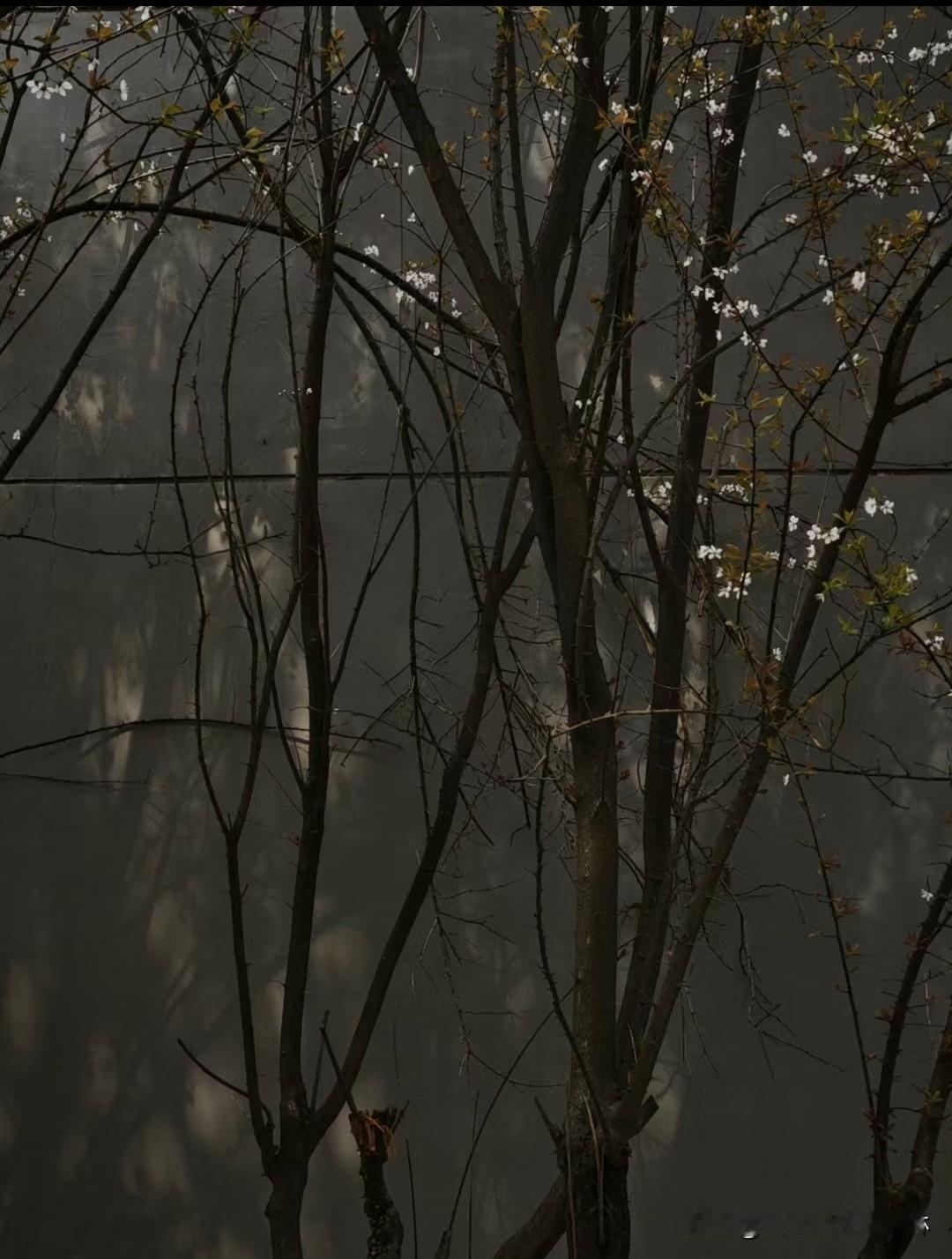 11月9日，山东威海一艘上海籍商船与一艘辽宁籍渔船在成山头东约3.5海里处发生碰