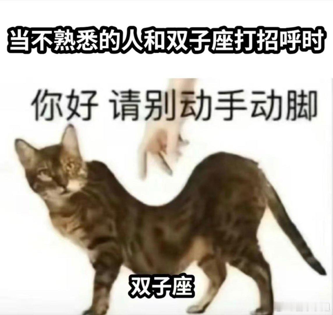 十二星座 双子座对待别人通常还挺热情的，别管熟不熟，言语上肯定显得很亲切，但是肢