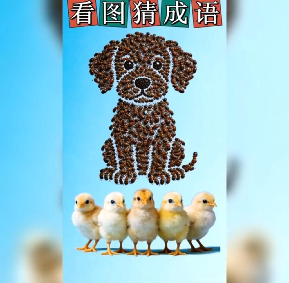 你对股市“牛市”有何看法蜜蜂拼成的狗+五只小鸡...