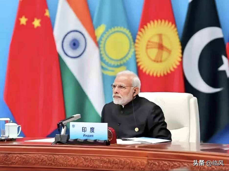 从现在印度的表现来看，APEC两次拒绝印度加入是完全正确的。

​印度就是个搅屎