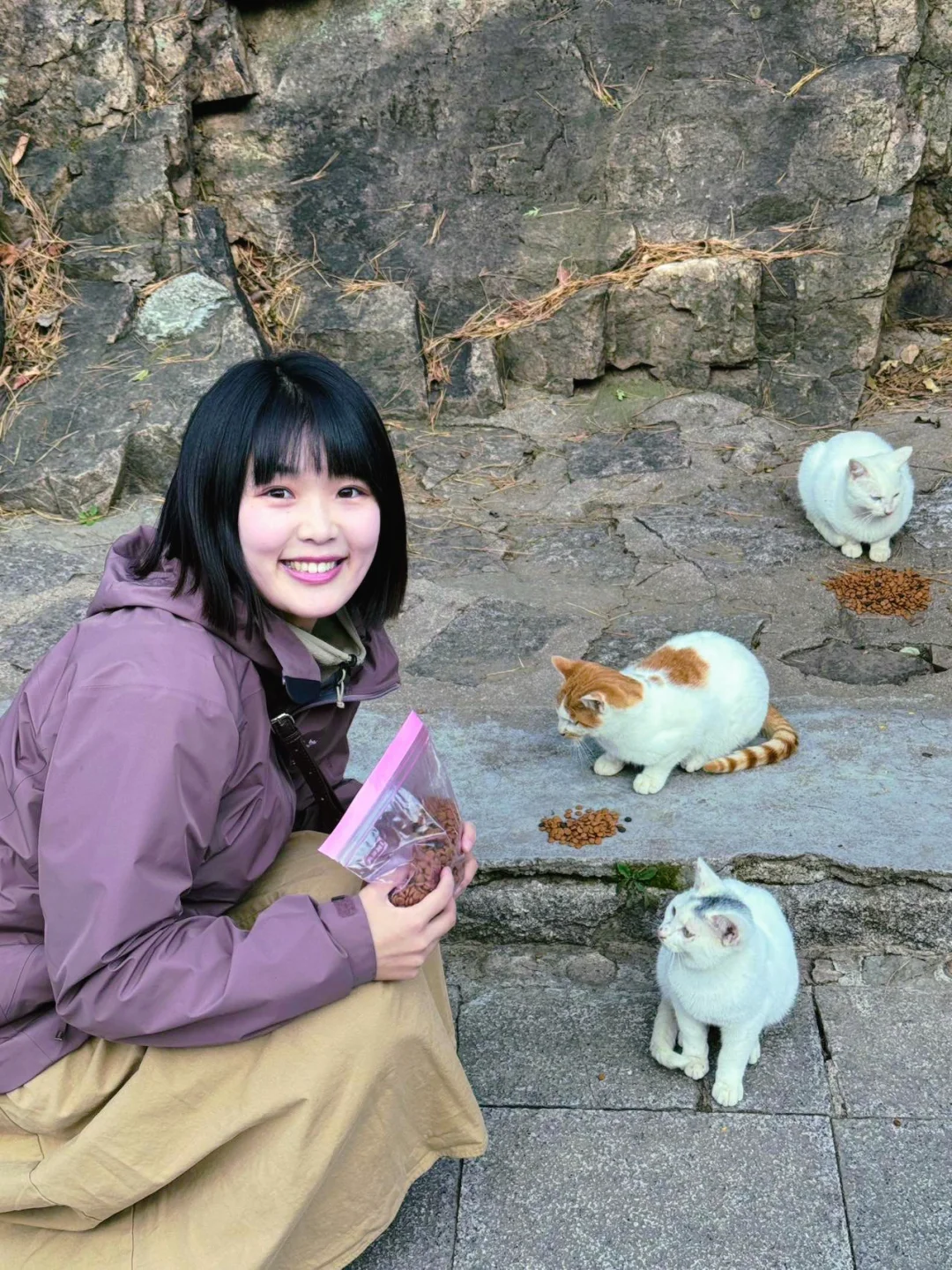青岛有个猫猫山，适合i人的冬日徒步路线🚶
