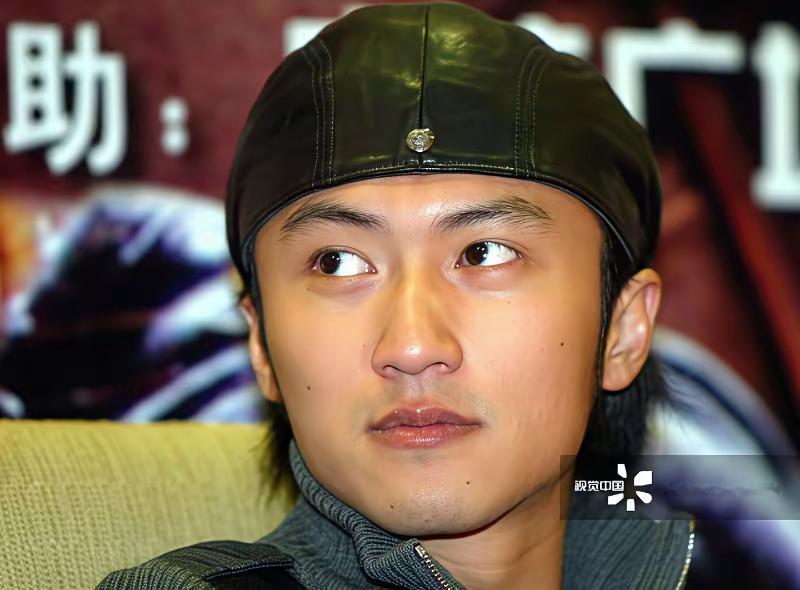 年轻时的谢霆锋
听闻他二十岁时便喜欢上了王菲
那时很多人都讲
他不过是为了提升知