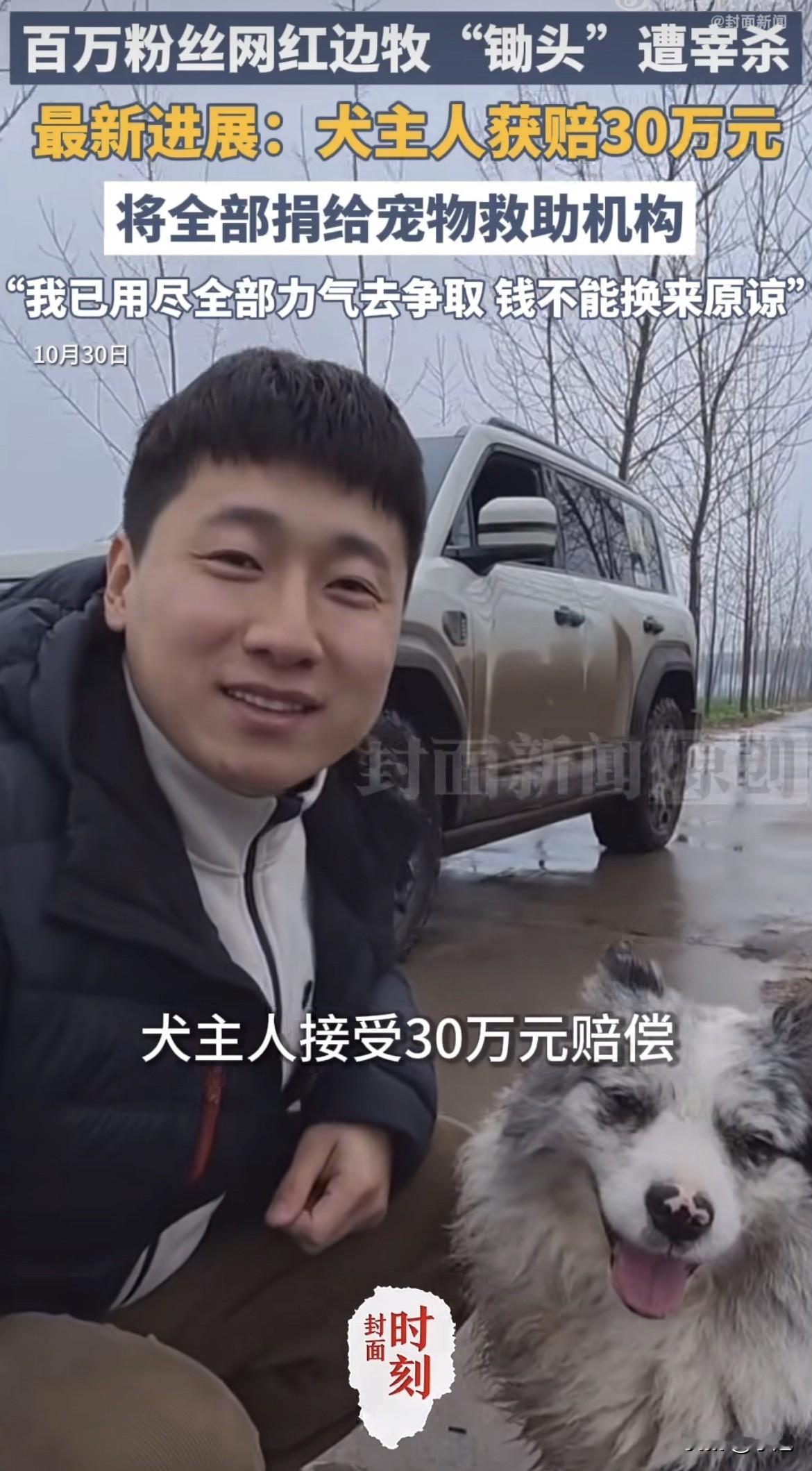180块。30万。
 
河南商丘那只边牧“锄头”，5月被人4块钱一斤称走，没了。