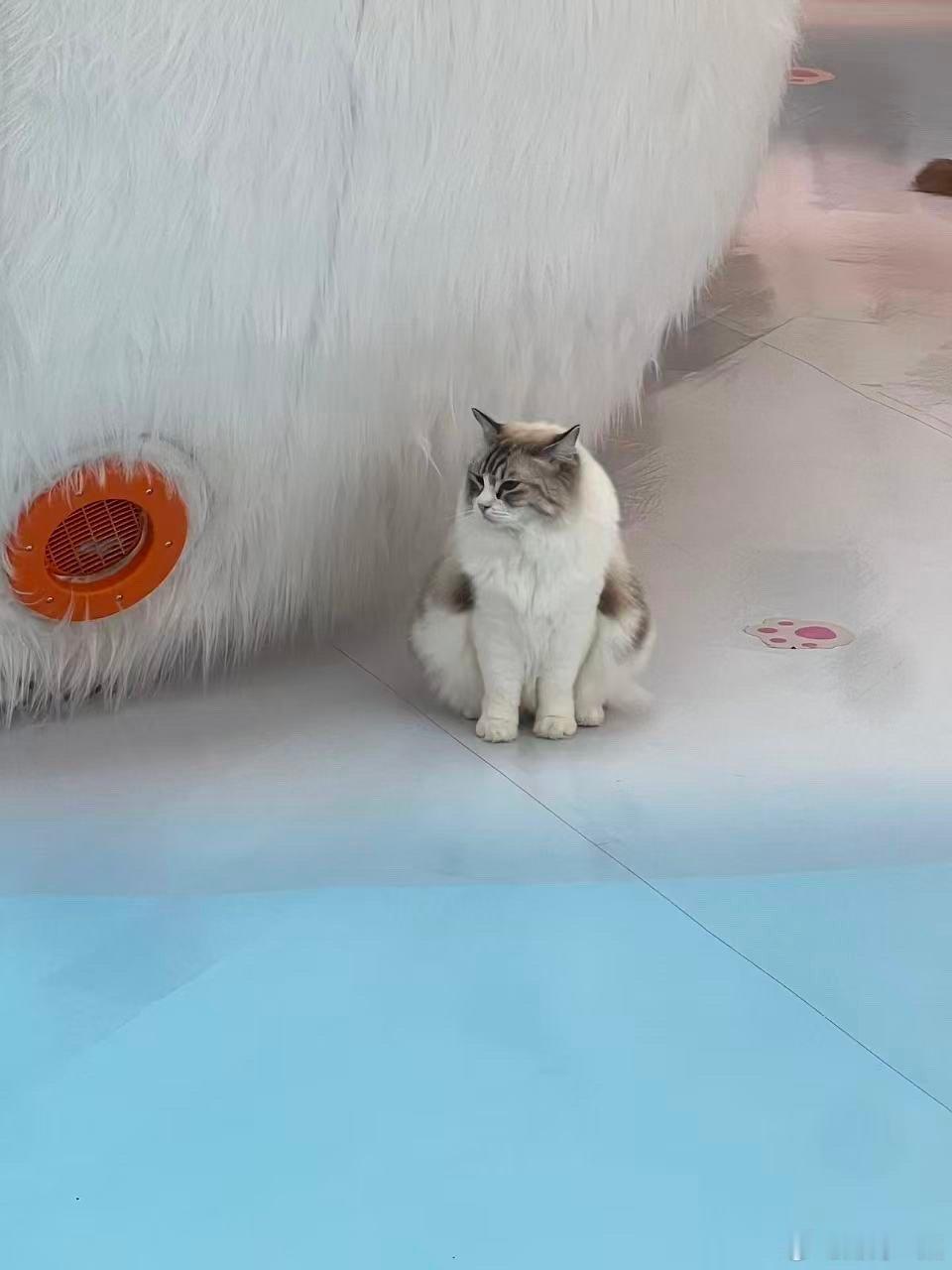 这简直是可爱暴击！神仙姐姐加初雪，双重“魔法攻击”，这谁比得过啊？罢了，我这就晒