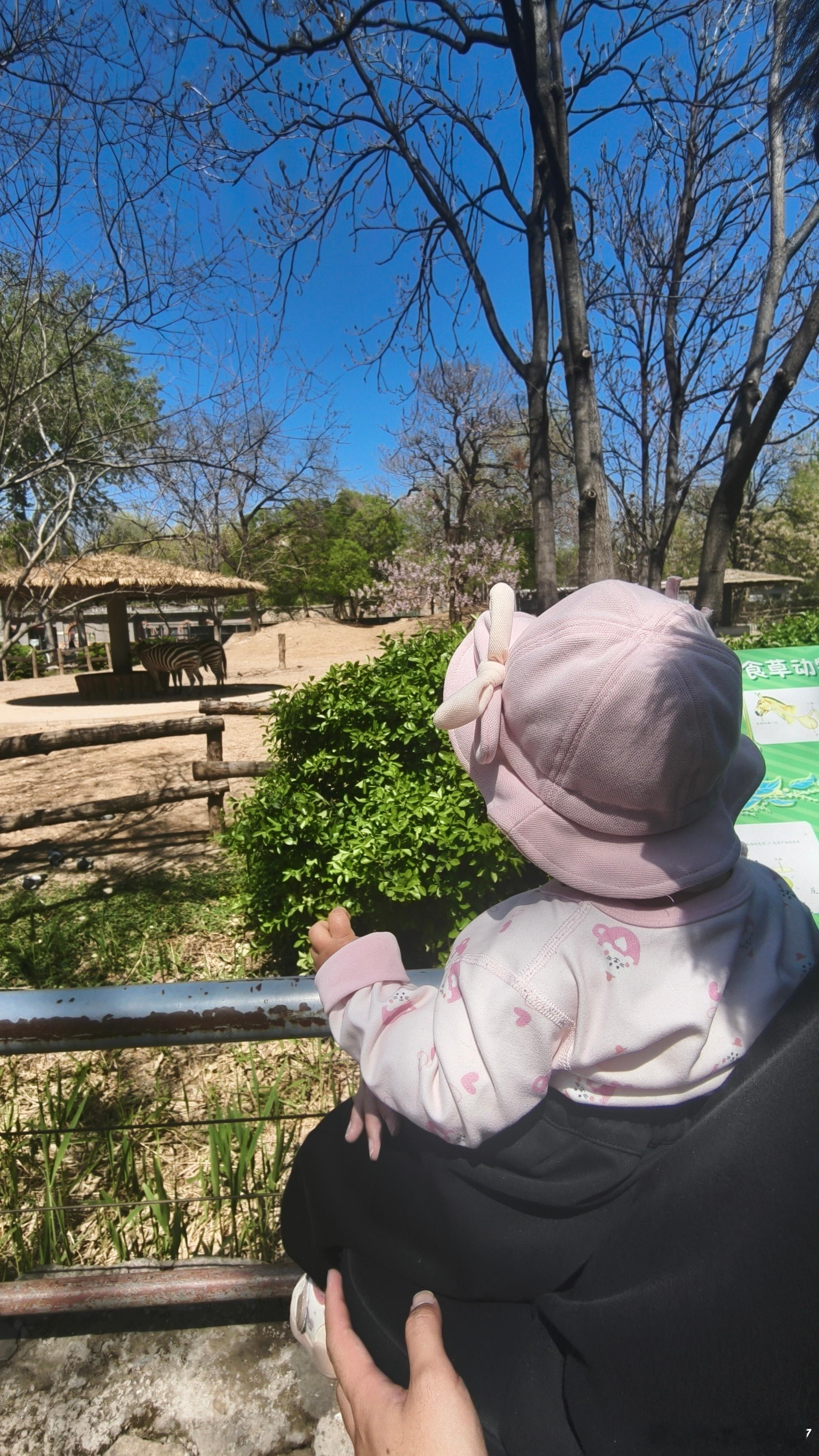 每年一次动物园打卡完成✅ 北京·北京动物园