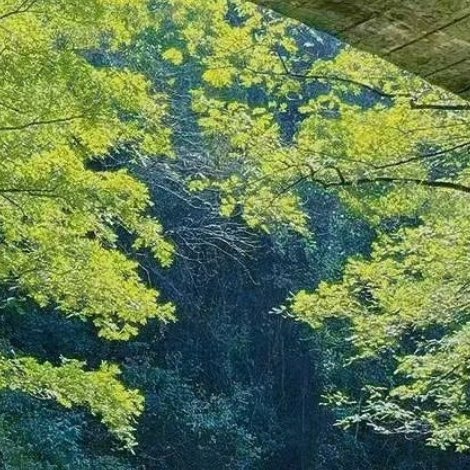 真正的善良，是在没有人看见的时候依然愿意付出；是不计回报地去关心那些可能与你毫无