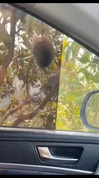这算不算偷？ ​​​