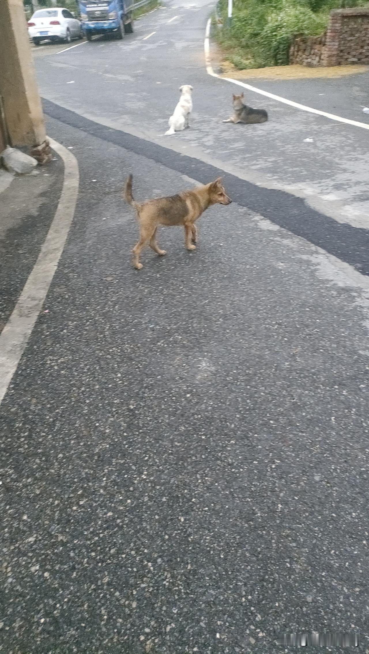 说出一句带雪的诗词💫乱山残雪夜，孤烛异乡人。——崔涂《除夜》
