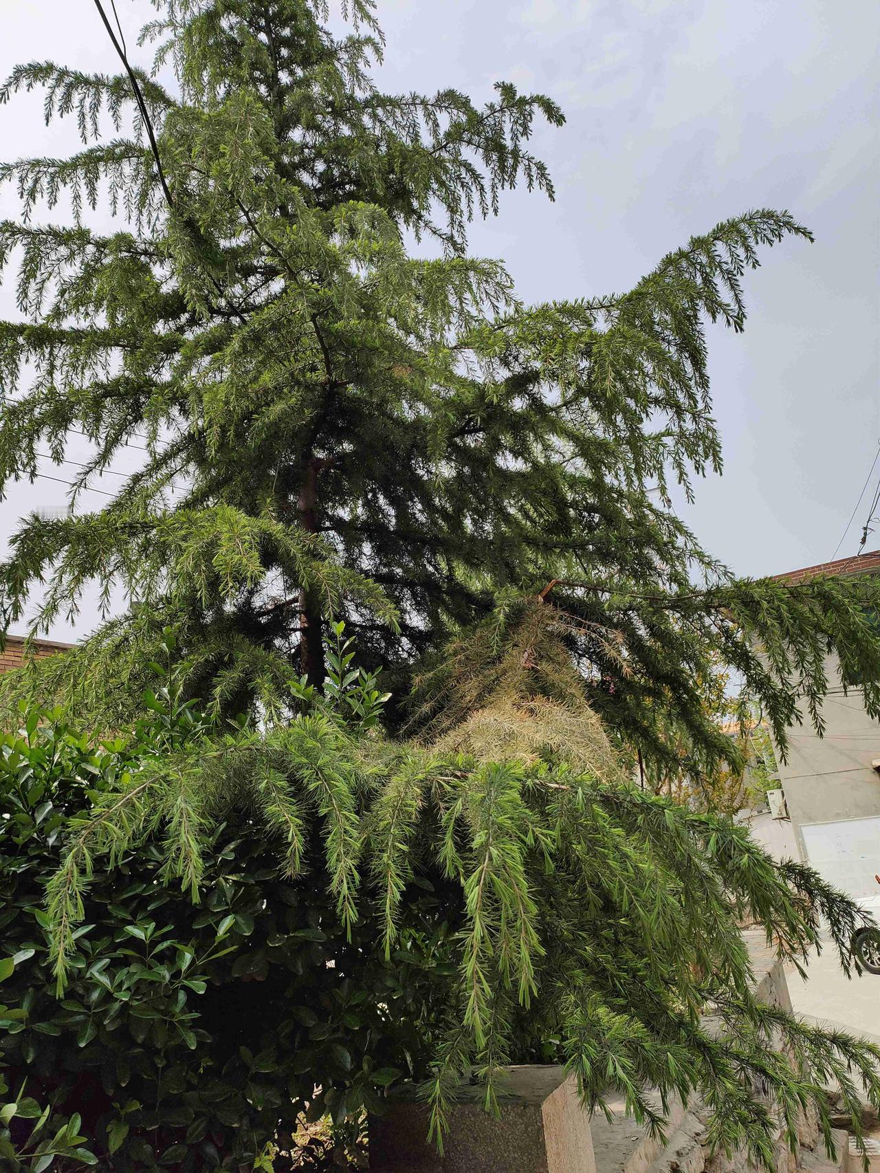 我的今日状态：😁轻松愉快
我这里的天气：🌤️多云