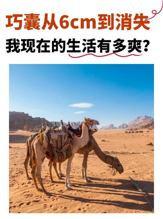 巧囊消失后超级爽，这5件小事帮我保持状态