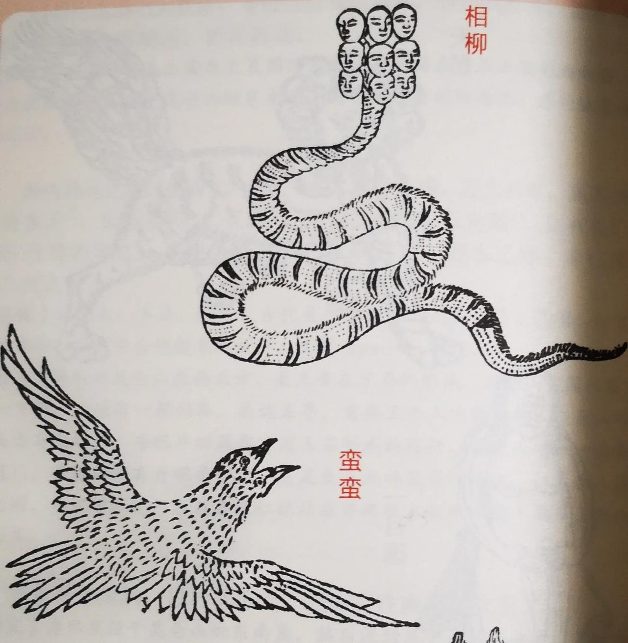 那你知道这个《山海经》中。有好多动物的肉是可以吃的，下面我就给大家说几个。

第