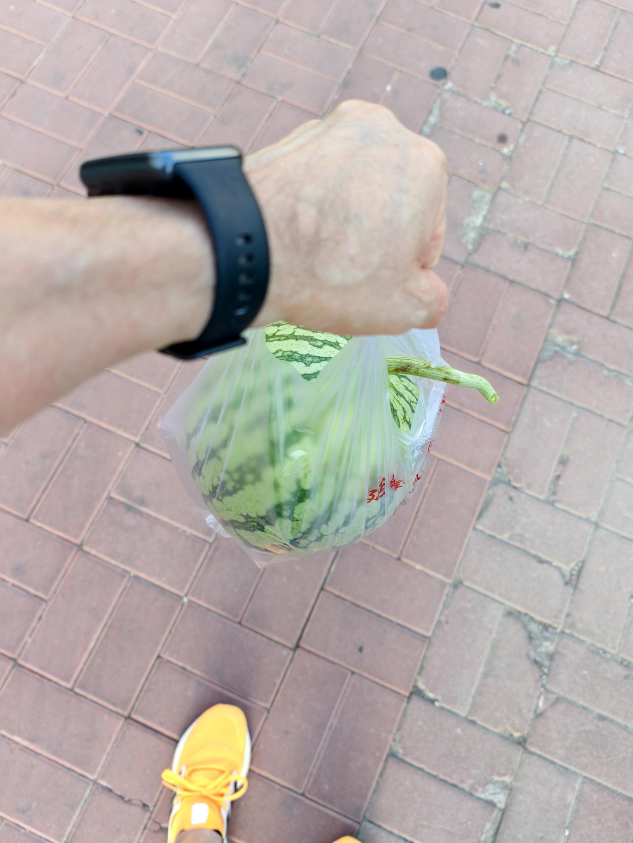 今天最高温36ºC，晨跑路过市场买个西瓜，以备最热时段“啃起来”。
随手拍下西瓜