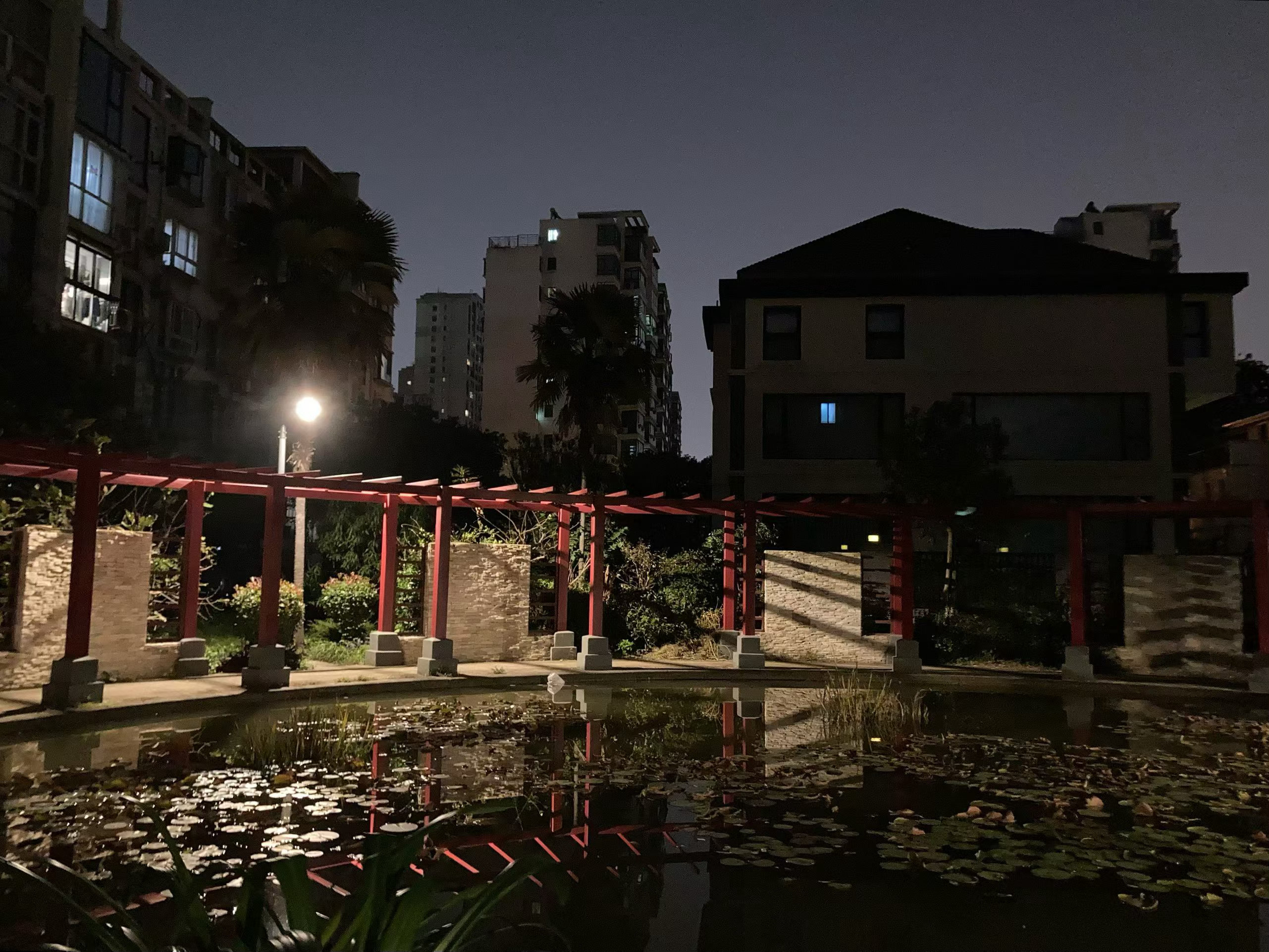 月下池廊，风携桂香🌙 ​​​