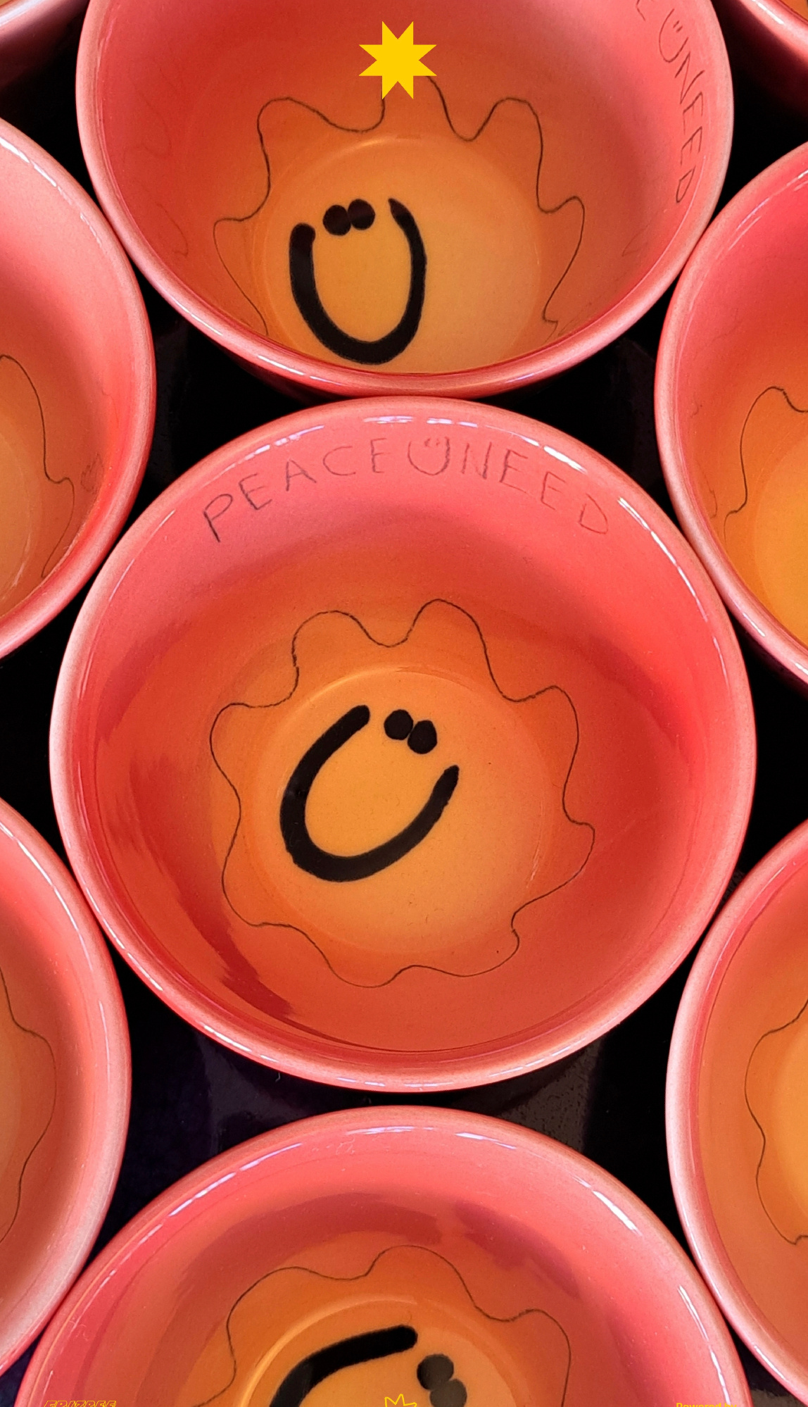 刘雨昕主理品牌xinadu 联名的产品好好看而且这种东西很实用，她审美真的不错哎