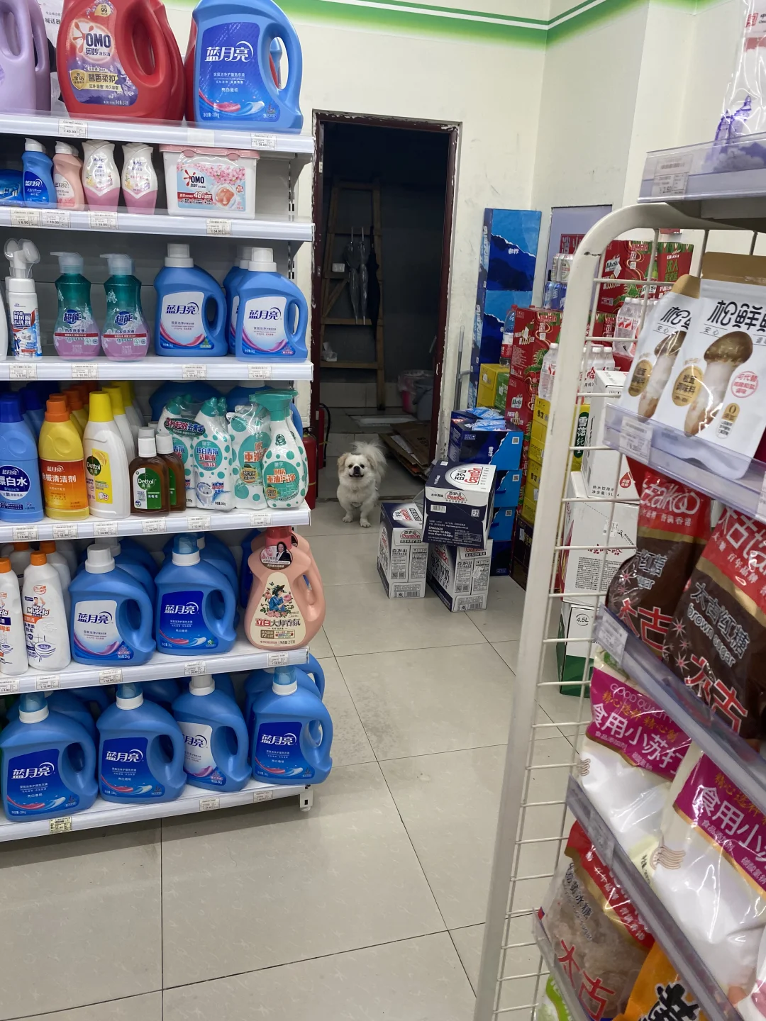 人，我渴，这厕所里的水我可以喝吗