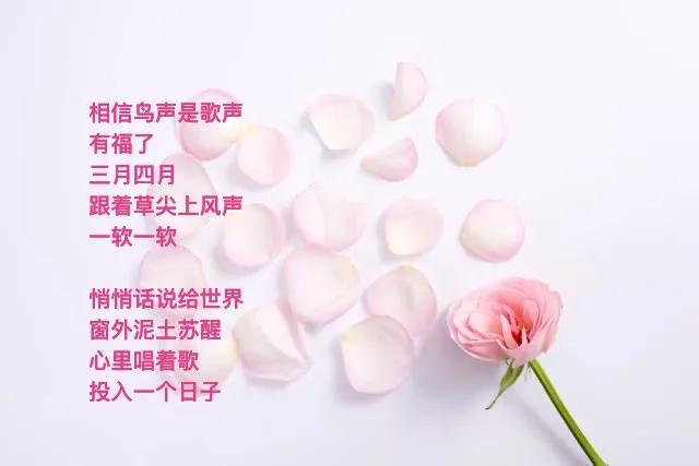 早晨  一首小诗出发
它投奔你
一个个小词
仿佛微风颤栗
．
云缝间透出光晕
昨