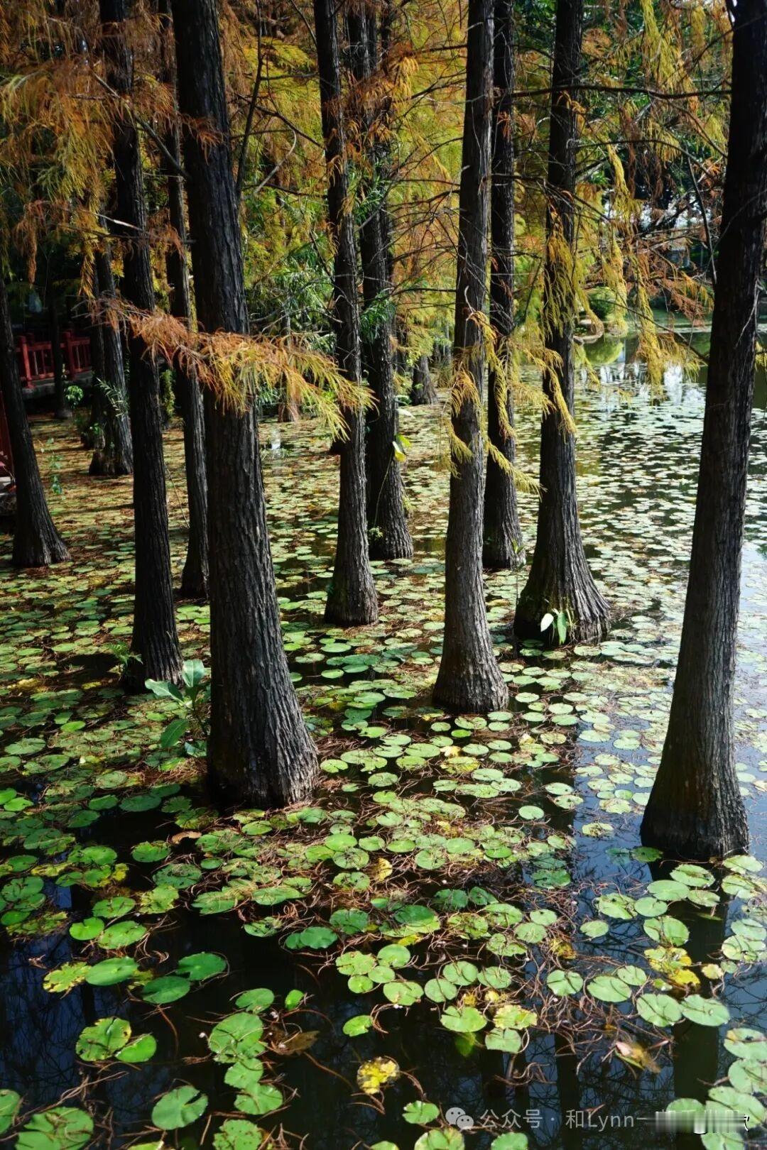 上联:红颜如花春日暖
下联:君子似玉秋风清
横批:春花秋实