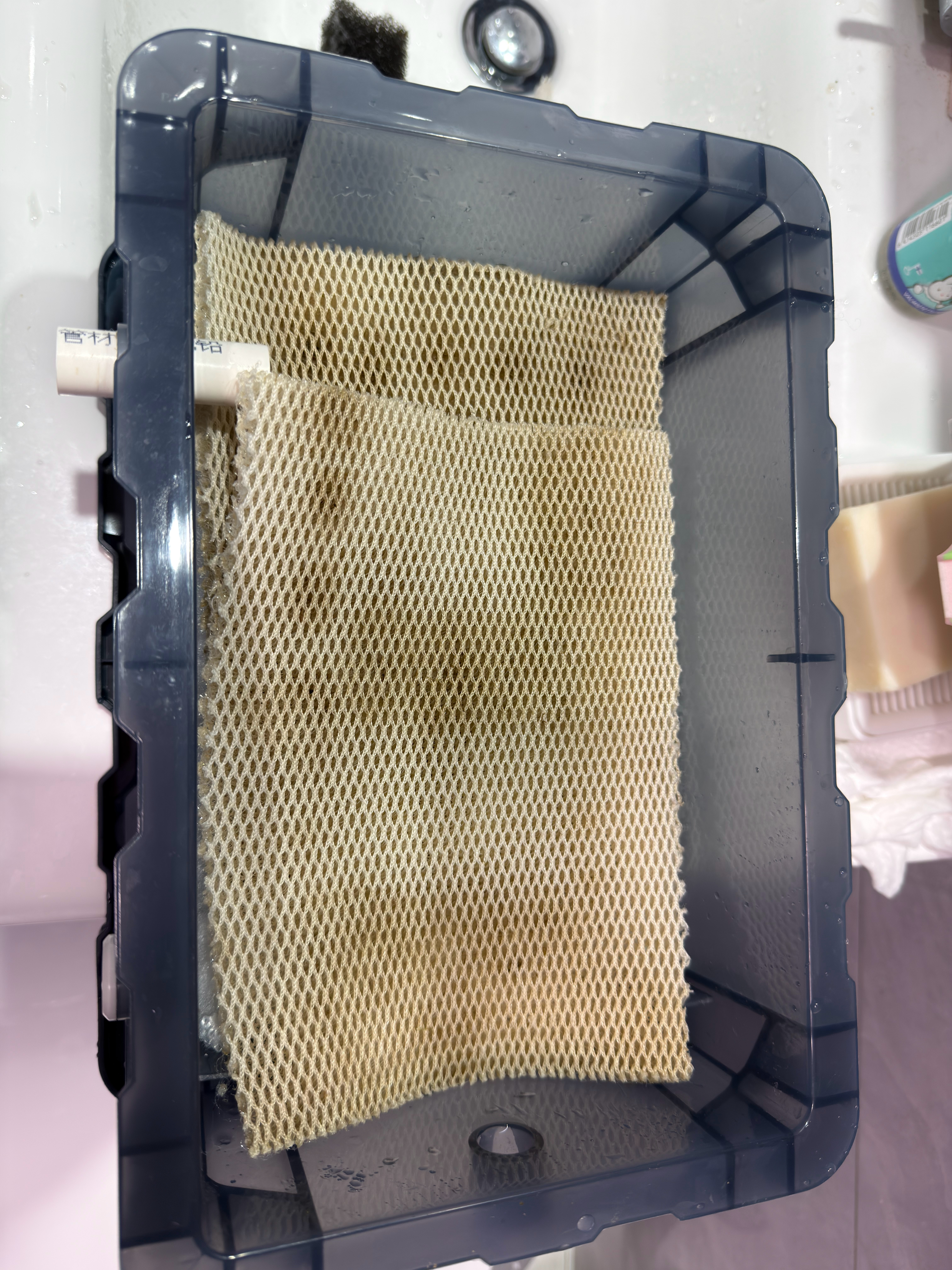 买了很多鱼缸过滤棉，什么羊绒毯、加厚棉、复合棉、海绵、薄的厚的松的紧的啥类型的都