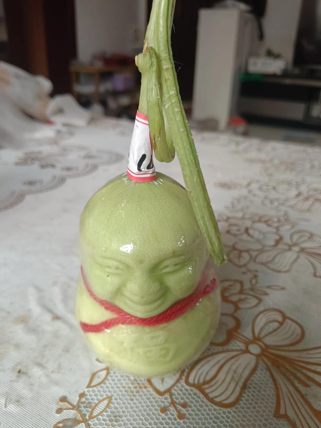 这是水果，也是作品，更是思想的飞跃——人心下口去吃吗