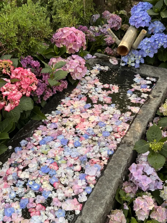 沈阳果然是一点就透。。。快快快！！！