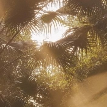 每日一善每日一善 🌞阳光信用 没有心宽似海，哪有风平浪静，做人，尽本分，做事，