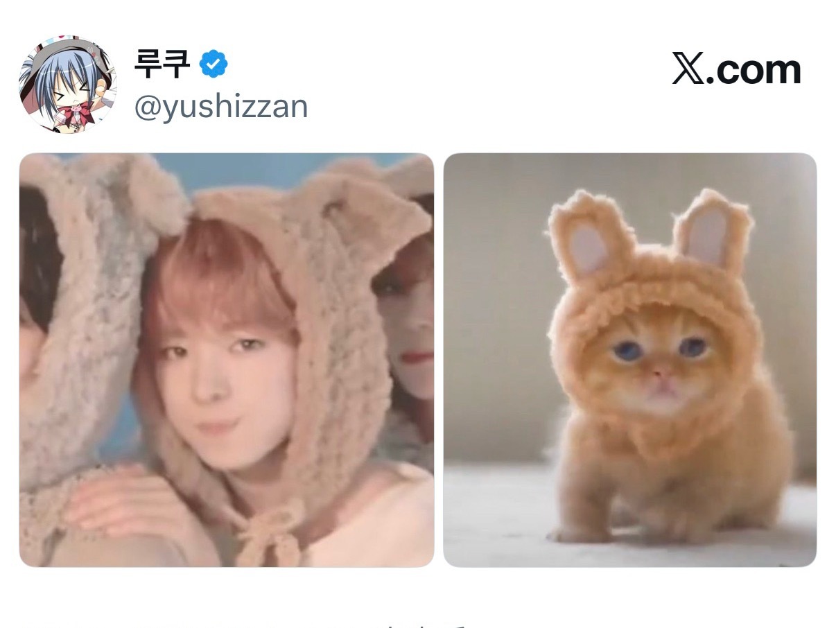 今天是国际猫咪日，路过的人类请帮优优咪开个罐头，阿里嘎多 