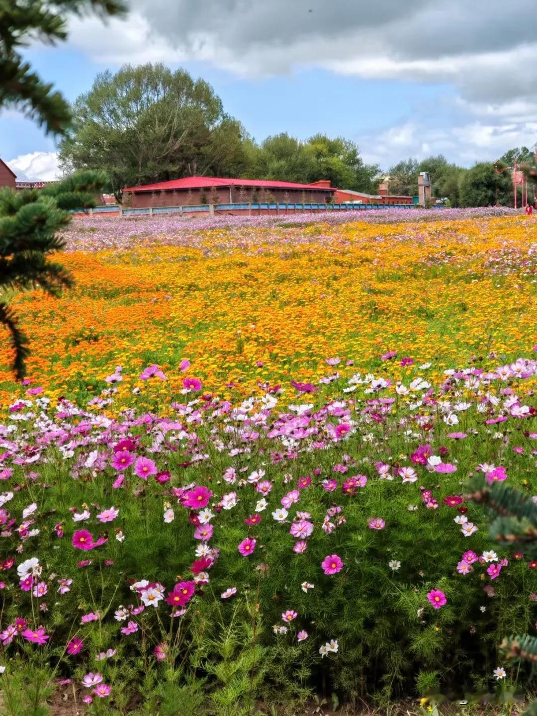今天同事说这样一句话，
说的非常棒，
分享出来：
“不争、不辩、不理，
才是对一