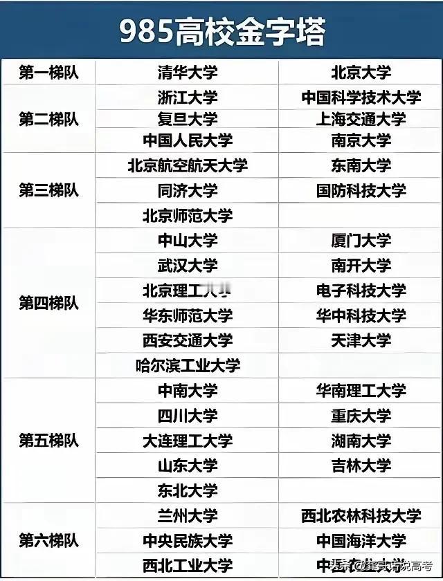 这种学校排序就是来招骂的（如图），不知道哪位高人排的。
把中大武大华科排在第四梯