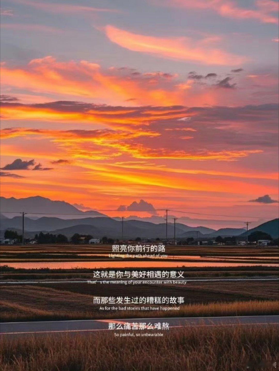 很喜欢的一段话 