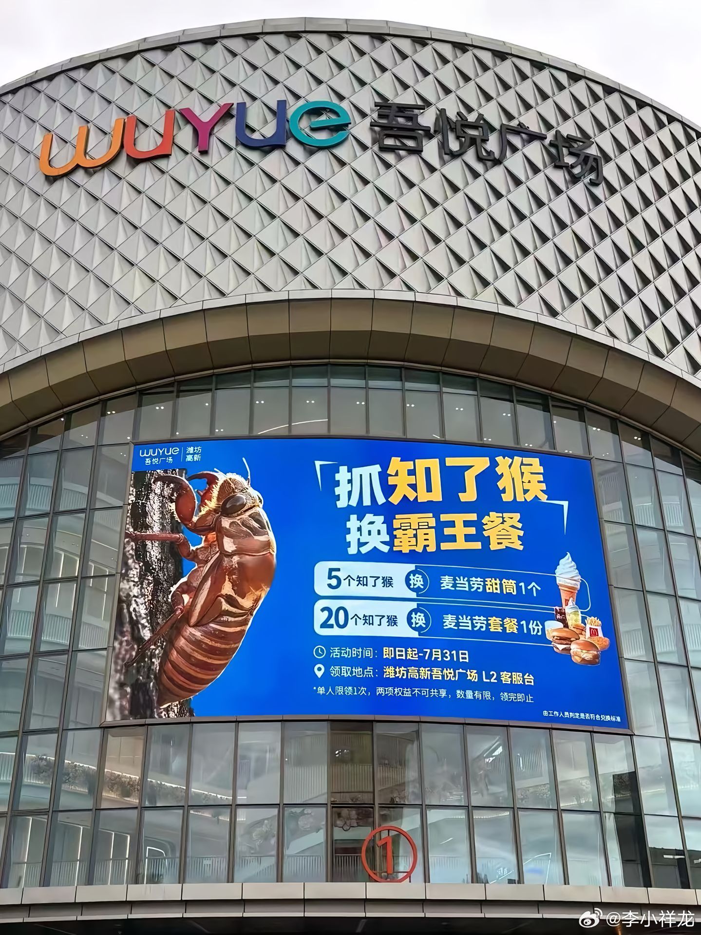 知了猴买都挺贵的，谁会拿去换麦当劳