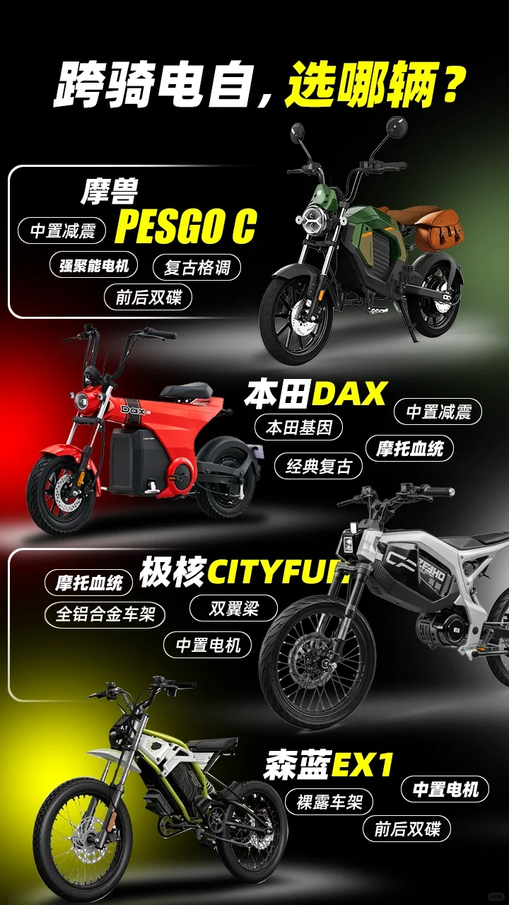 跨骑电动自行车，选哪辆？
