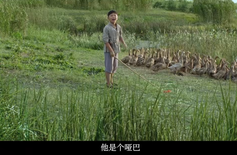 《桂花雨》居然拍成全息投影了！站在桂花树下看花瓣簌簌飘落，伸手接住时还能闻到淡淡